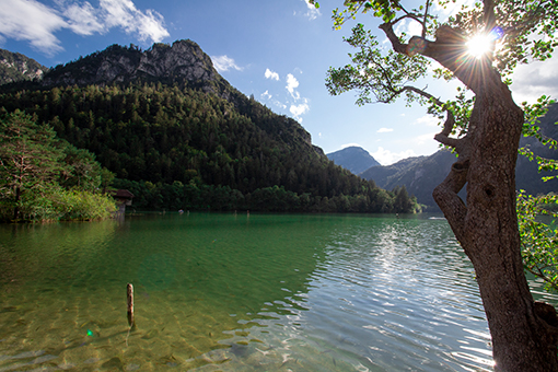 Bayern Thumsee